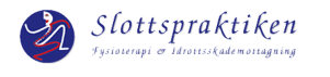 Slottspraktiken